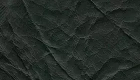 Образец № 12